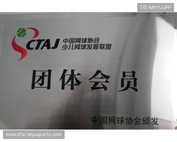 网球协会发布裁判员任命名单，中国网球协会裁判员